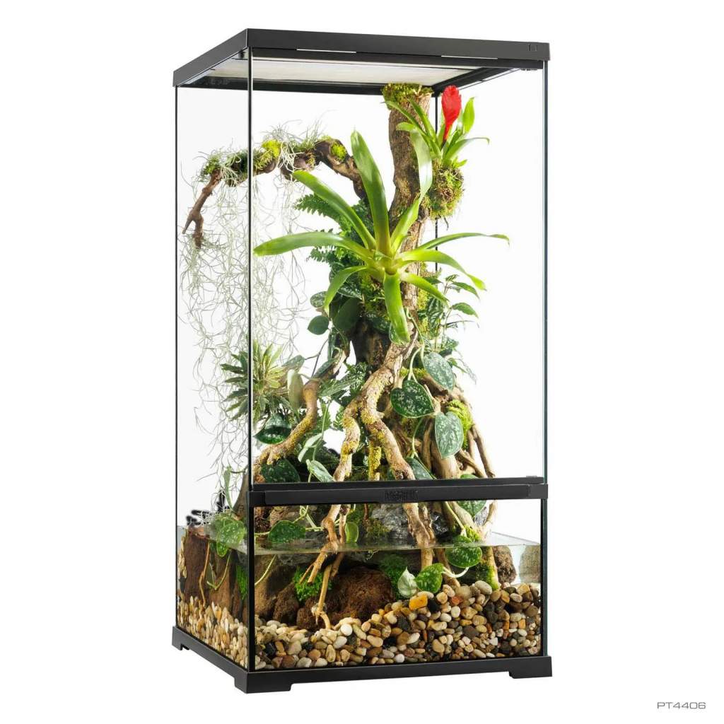 Pro Paludarium